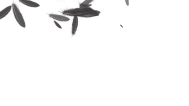 Düşen parçacıkları tüy hareketi grafikleri