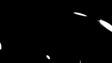 Düşen parçacıkları tüy hareketi grafikleri