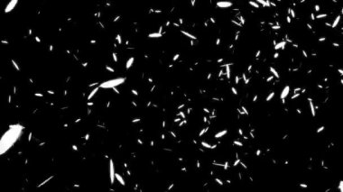 Düşen parçacıkları tüy hareketi grafikleri