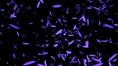 Düşen parçacıkları tüy hareketi grafikleri