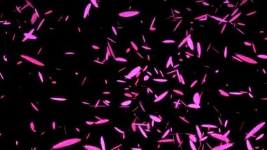 Düşen parçacıkları tüy hareketi grafikleri