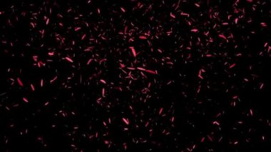 Düşen parçacıkları tüy hareketi grafikleri