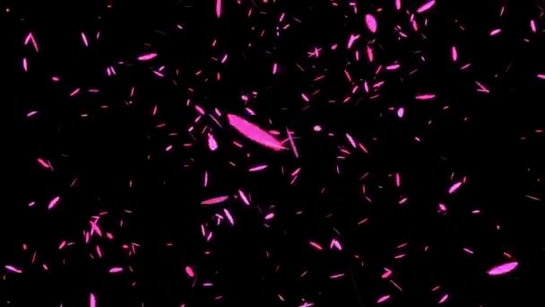 Feather Falling Particles Motion Graphics — Stock Video