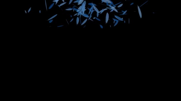 Feather Falling Particles Motion Graphics — Stock Video