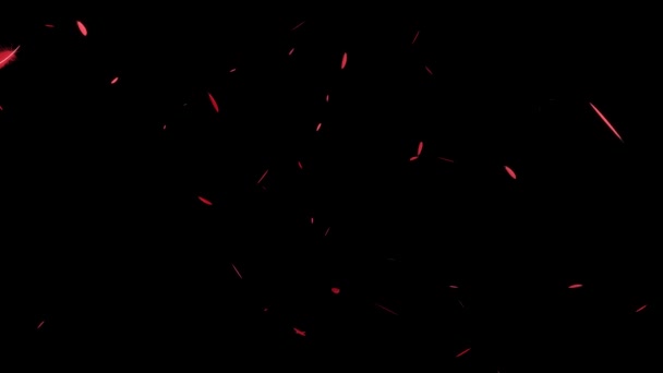 Düşen Parçacıkları Tüy Hareketi Grafikleri — Stok video