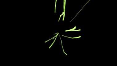 İlkbahar siber animasyon hareketlerinin grafiklerini çıkarıyor