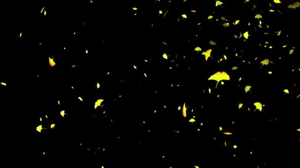 Ginkgo Yaprakları Sonbahar Yaprakları Düşen Hareket Grafikleri — Stok video