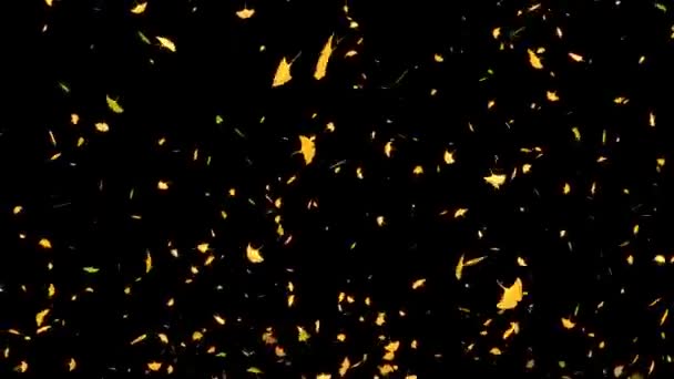 Ginkgo Listy Žlutý Podzim Listy Vznikající Pohybové Grafiky — Stock video