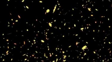 Kozmos ortaya çıkan parçacık hareketi grafikleri