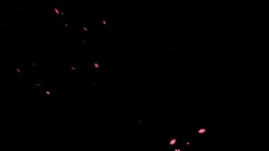 Kozmos düşen parçacıklar hareket grafikleri