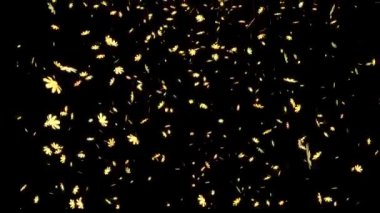 Kozmos düşen parçacıklar hareket grafikleri