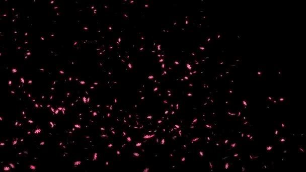 Cosmos Emergentes Gráficos Movimiento Partículas — Vídeo de stock