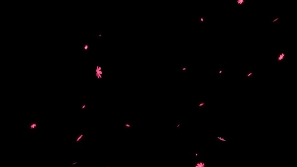 Cosmos Emerging Particle Motion Graphics — Stock Video