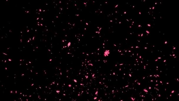 Cosmos Emerging Particle Motion Graphics — Stock Video