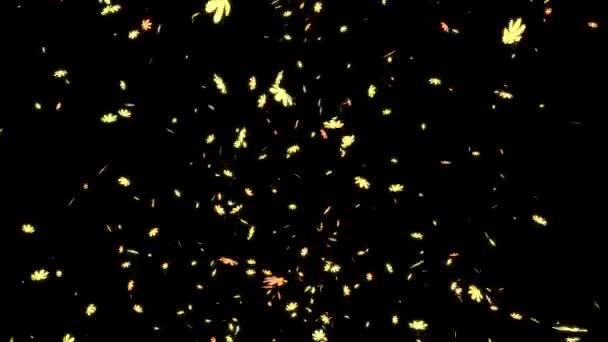 Kosmos Framväxande Grafik Partikel Rörelse — Stockvideo