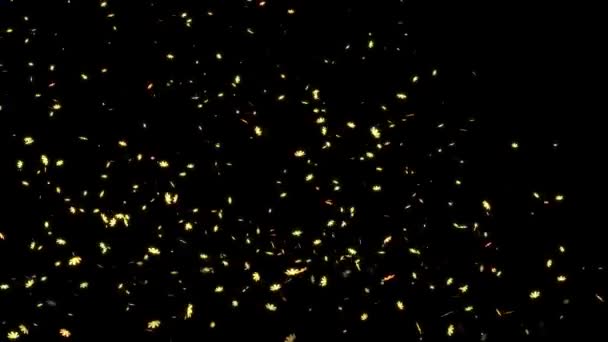 Kosmos Framväxande Grafik Partikel Rörelse — Stockvideo
