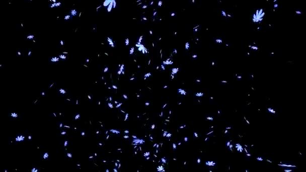 宇宙中新出现的粒子运动图形 — 图库视频影像