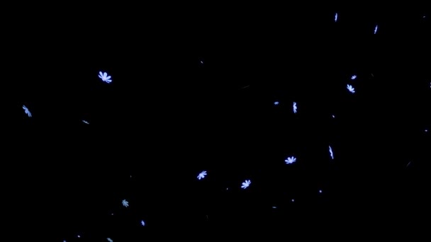 Cosmos Emerging Particle Motion Graphics — Stock Video