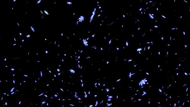 Neue Grafiken Für Teilchenbewegungen Kosmos — Stockvideo