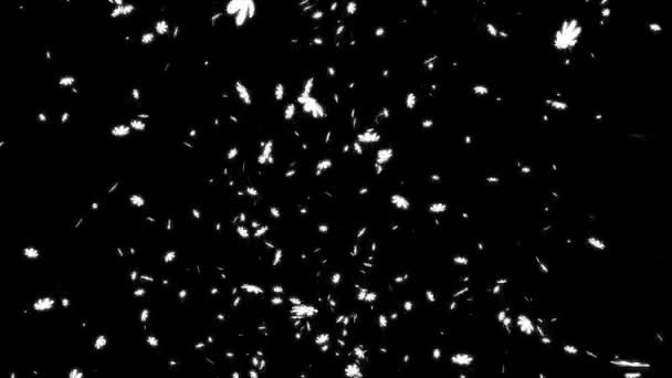 Cosmos Curs Dezvoltare Grafică Mișcării Particulelor — Videoclip de stoc