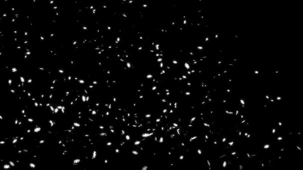 Graphiques Mouvement Particules Émergentes Cosmos — Video