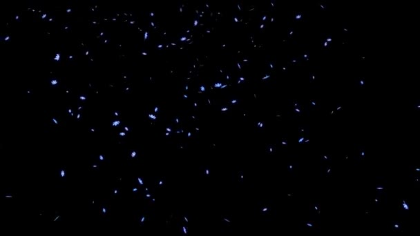 宇宙坠落粒子运动图形 — 图库视频影像