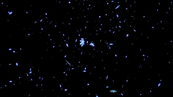 Cosmos Falling Particles Motion Graphics — Stock Video