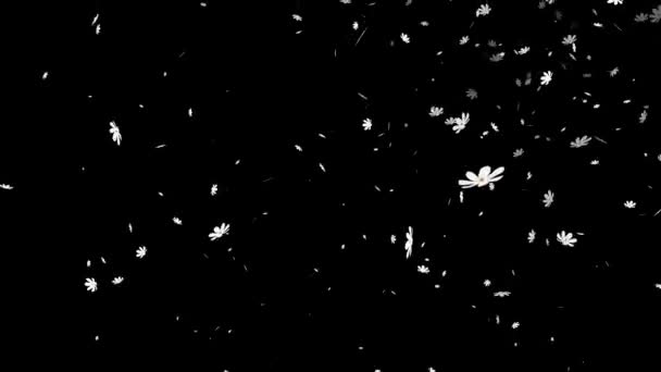 Cosmos Jatuh Partikel Gerak Grafis — Stok Video