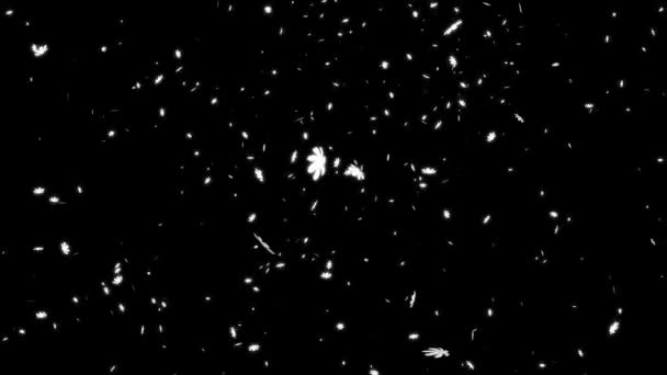 Graphiques Mouvement Particules Tombantes Cosmos — Video