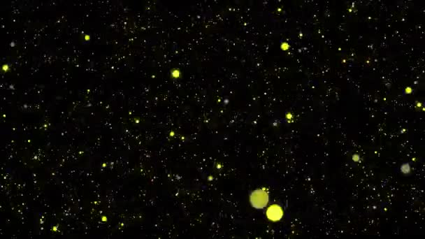 Klein Formaat Dot Bal Bewegende Animatie Motion Graphics — Stockvideo