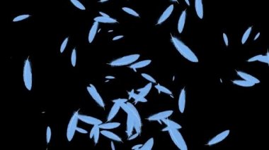 Yükselen parçacık hareketi grafikleri