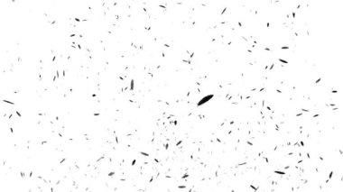 Yükselen parçacık hareketi grafikleri