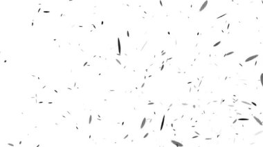 Yükselen parçacık hareketi grafikleri