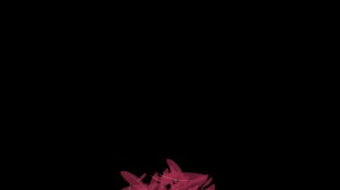 Yükselen parçacık hareketi grafikleri