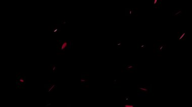 Yükselen parçacık hareketi grafikleri