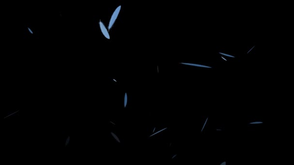 Feather Soaring Particle Motion Graphics — Stock Video