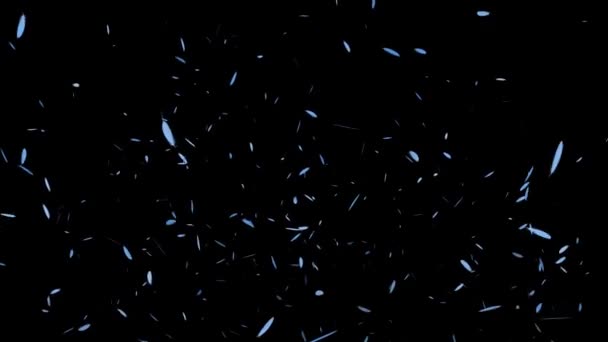 Feather Soaring Particle Motion Graphics — Stock Video