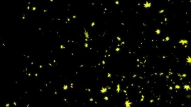 Akçaağaç parçacık hareketi grafiklerini ortaya çıkarır