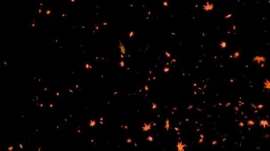 Akçaağaç parçacık hareketi grafiklerini ortaya çıkarır