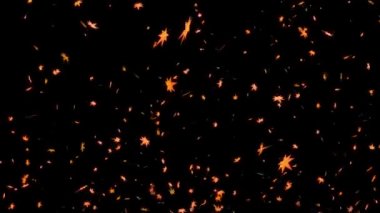 Akçaağaç parçacık hareketi grafiklerini ortaya çıkarır