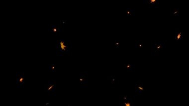 Akçaağaç parçacık hareketi grafiklerini ortaya çıkarır