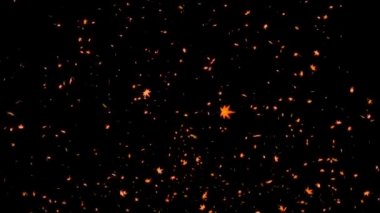 Akçaağaç parçacık hareketi grafiklerini ortaya çıkarır