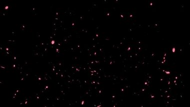 Çiçek açan kiraz yaprakları parçacık hareketi grafikleri