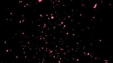 Çiçek açan kiraz yaprakları parçacık hareketi grafikleri