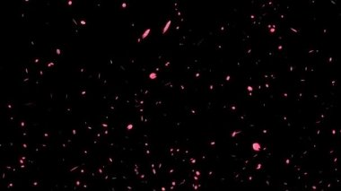 Çiçek açan kiraz yaprakları parçacık hareketi grafikleri