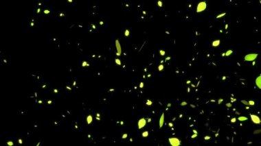 Sarı ölü yapraklar, sonbahar yaprakları, sonbahar, ortaya çıkan parçacıklar, hareket grafikleri.