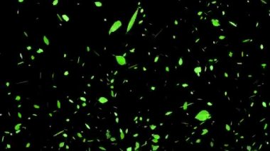 Yeşil yapraklar yeni ortaya çıkan yeşil parçacıklar hareket grafikleri