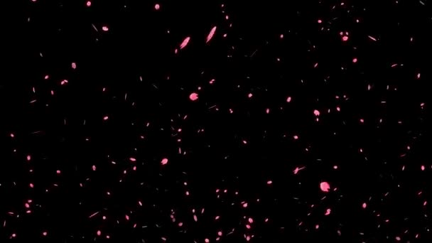 Körsbärsblom Kronblad Framväxande Partikel Rörelse Grafik — Stockvideo
