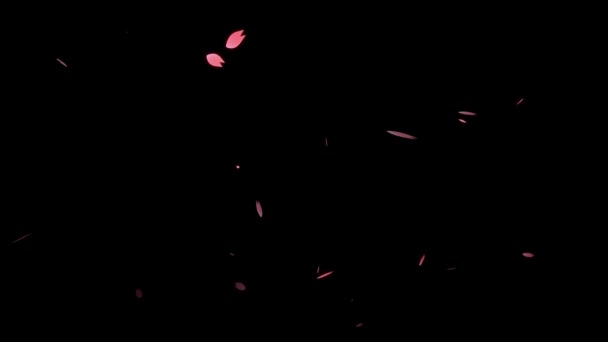 Cherry Blossom Petals Emerging Particle Motion Graphics — Stock Video