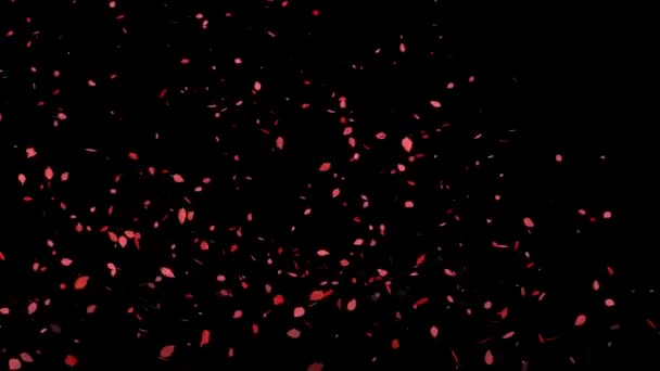 Dead Leaves Red Leaves Autumn Leaves Autumn Particles Emerge Motion — Stock Video